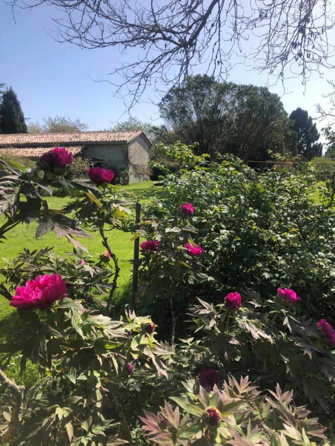 Damechouette Bed and Breakfast Pujols  Buitenkant foto